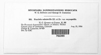 Puccinia substerilis var. oryzopsidis image